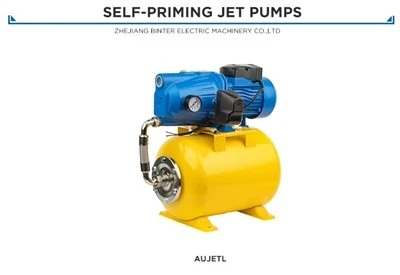 Máy bơm ly tâm tự động AUJET100L được chứng nhận CE - 220/50Hz 21kg Nhẹ để xuất khẩu toàn cầu